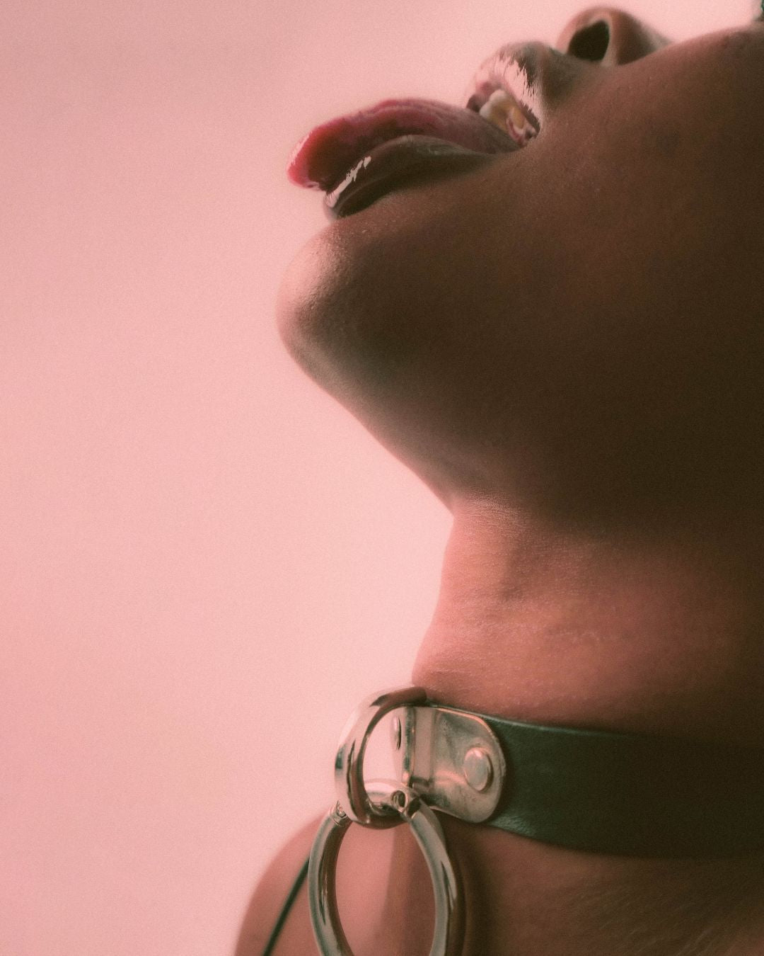 Asexuality and Kink